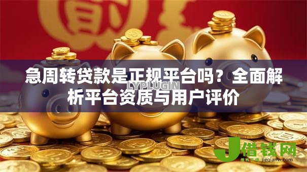 急周转贷款是正规平台吗?全面解析平台资质与用户评价 急周转贷款是正规平台吗?全面解析平台资质与用户评价