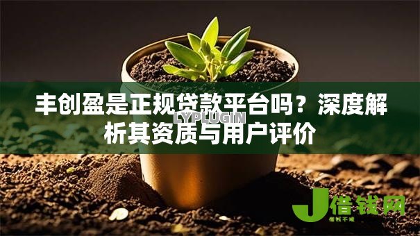 丰创盈是正规贷款平台吗？深度解析其资质与用户评价