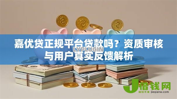 嘉优贷正规平台贷款吗？资质审核与用户真实反馈解析