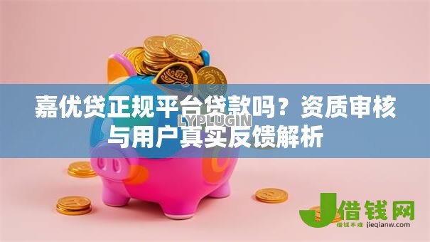 嘉优贷正规平台贷款吗？资质审核与用户真实反馈解析