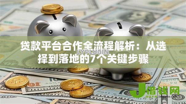 贷款平台合作全流程解析：从选择到落地的7个关键步骤