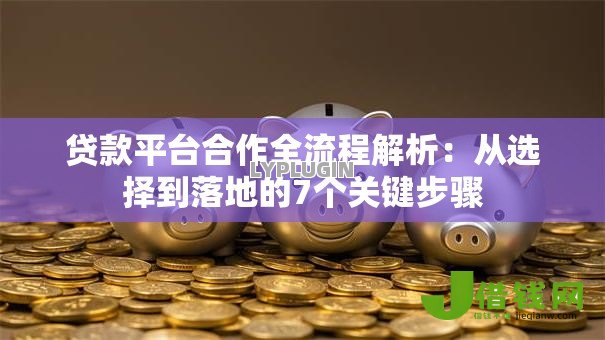 贷款平台合作全流程解析：从选择到落地的7个关键步骤