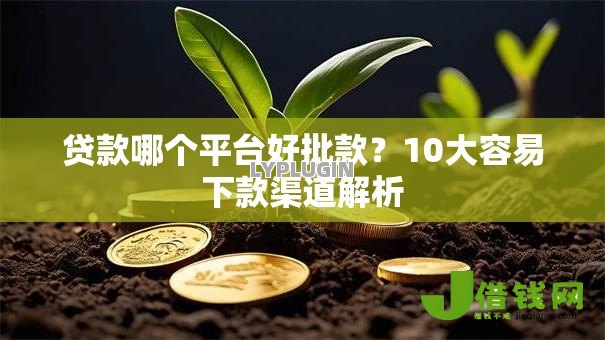 贷款哪个平台好批款?10大容易下款渠道解析 贷款哪个平台好批款?10大容易下款渠道解析