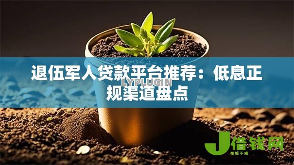 退伍军人贷款平台推荐:低息正规渠道盘点 退伍军人贷款平台推荐:低息正规渠道盘点