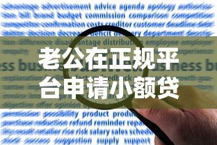 老公在正规平台申请小额贷款全攻略：流程、风险与注意事项