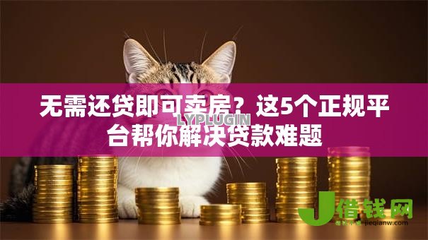 无需还贷即可卖房?这5个正规平台帮你解决贷款难题 无需还贷即可卖房?这5个正规平台帮你解决贷款难题