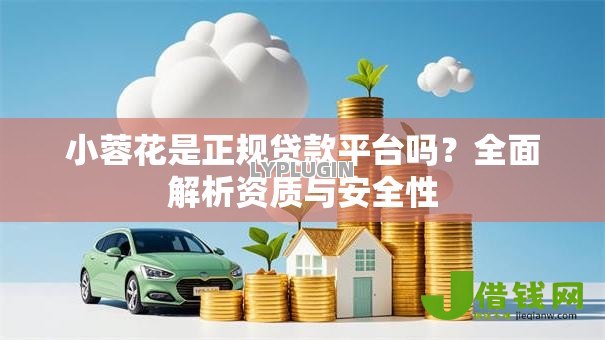 小蓉花是正规贷款平台吗?全面解析资质与安全性 小蓉花是正规贷款平台吗?全面解析资质与安全性