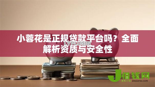 小蓉花是正规贷款平台吗?全面解析资质与安全性 小蓉花是正规贷款平台吗?全面解析资质与安全性