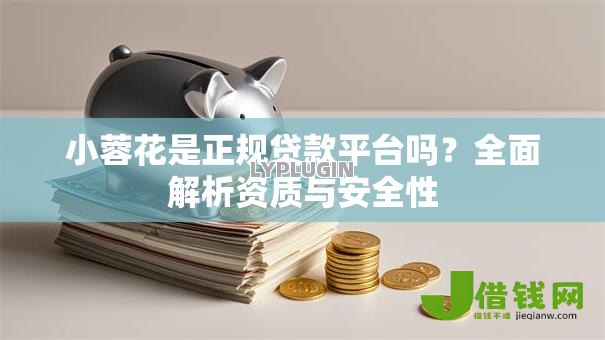 小蓉花是正规贷款平台吗?全面解析资质与安全性 小蓉花是正规贷款平台吗?全面解析资质与安全性