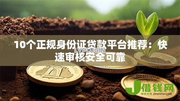 10个正规身份证贷款平台推荐：快速审核安全可靠