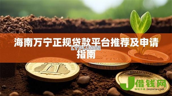 海南万宁正规贷款平台推荐及申请指南 海南万宁正规贷款平台推荐及申请指南