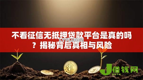 不看征信无抵押贷款平台是真的吗？揭秘背后真相与风险