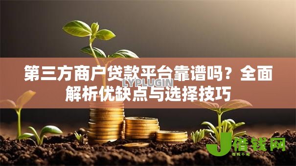 第三方商户贷款平台靠谱吗?全面解析优缺点与选择技巧 第三方商户贷款平台靠谱吗?全面解析优缺点与选择技巧