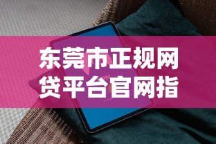 东莞市正规网贷平台官网指南：安全借款必看攻略