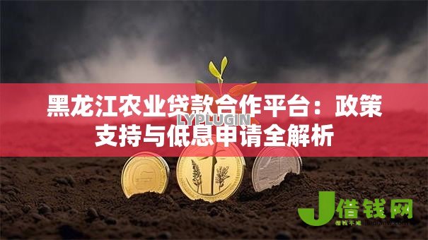 黑龙江农业贷款合作平台：政策支持与低息申请全解析