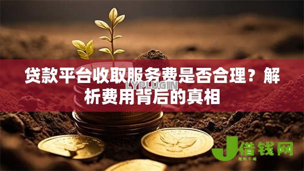 贷款平台收取服务费是否合理？解析费用背后的真相