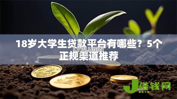 18岁大学生贷款平台有哪些？5个正规渠道推荐