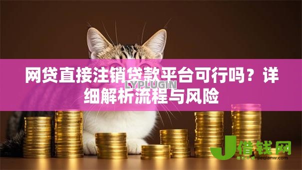 网贷直接注销贷款平台可行吗?详细解析流程与风险 网贷直接注销贷款平台可行吗?详细解析流程与风险