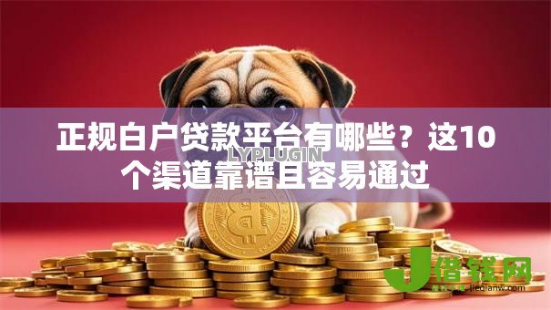 正规白户贷款平台有哪些?这10个渠道靠谱且容易通过 正规白户贷款平台有哪些?这10个渠道靠谱且容易通过