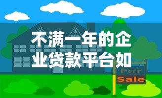 不满一年的企业贷款平台如何选？新平台风险与机遇全解析