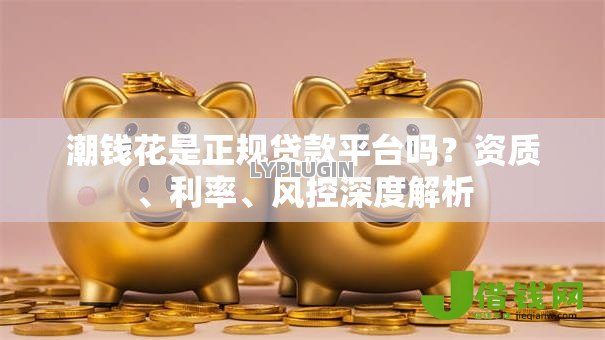 潮钱花是正规贷款平台吗？资质、利率、风控深度解析