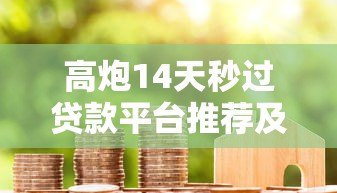 高炮14天秒过贷款平台推荐及申请攻略 高炮14天秒过贷款平台推荐及申请攻略
