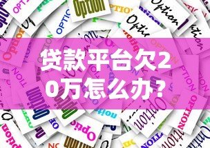 贷款平台欠20万怎么办?真实应对策略与还款指南 贷款平台欠20万怎么办?真实应对策略与还款指南