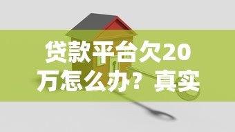 贷款平台欠20万怎么办?真实应对策略与还款指南 贷款平台欠20万怎么办?真实应对策略与还款指南