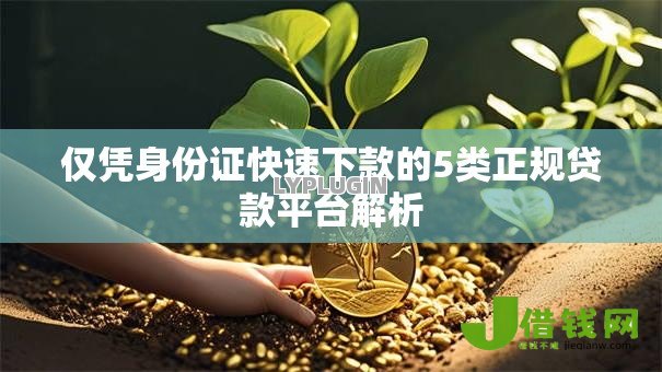仅凭身份证快速下款的5类正规贷款平台解析 仅凭身份证快速下款的5类正规贷款平台解析