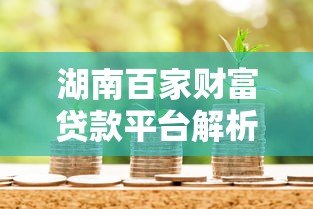 湖南百家财富贷款平台解析:正规渠道与申请攻略 湖南百家财富贷款平台解析:正规渠道与申请攻略