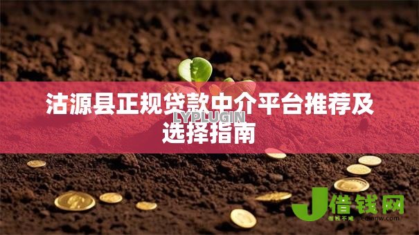 沽源县正规贷款中介平台推荐及选择指南 沽源县正规贷款中介平台推荐及选择指南