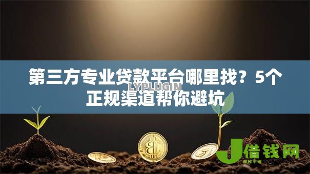 第三方专业贷款平台哪里找?5个正规渠道帮你避坑 第三方专业贷款平台哪里找?5个正规渠道帮你避坑