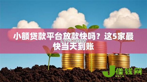 小额贷款平台放款快吗?这5家最快当天到账 小额贷款平台放款快吗?这5家最快当天到账