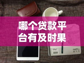 哪个贷款平台有及时果ID贷？5款真实产品推荐