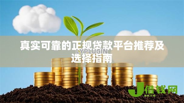 真实可靠的正规贷款平台推荐及选择指南