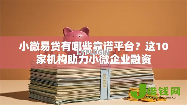 小微易贷有哪些靠谱平台?这10家机构助力小微企业融资 小微易贷有哪些靠谱平台?这10家机构助力小微企业融资
