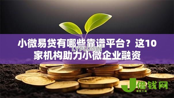 小微易贷有哪些靠谱平台?这10家机构助力小微企业融资 小微易贷有哪些靠谱平台?这10家机构助力小微企业融资