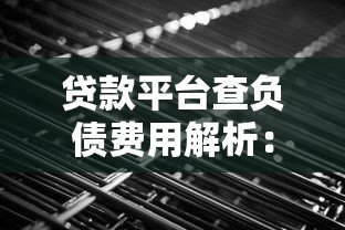 贷款平台查负债费用解析：一年需要多少钱？