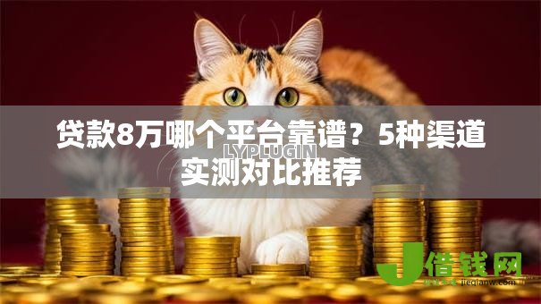 贷款8万哪个平台靠谱？5种渠道实测对比推荐
