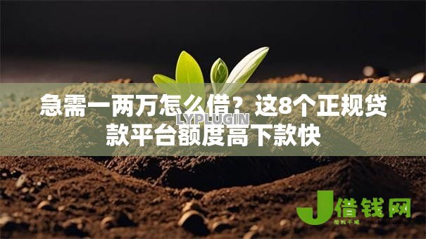 急需一两万怎么借？这8个正规贷款平台额度高下款快