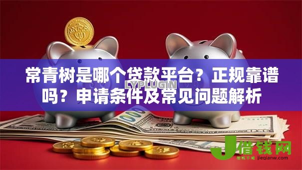 常青树是哪个贷款平台？正规靠谱吗？申请条件及常见问题解析