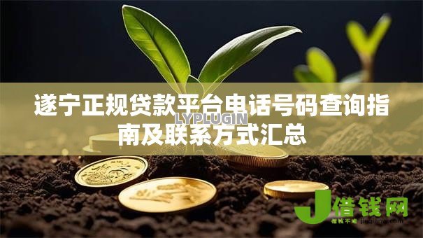 遂宁正规贷款平台电话号码查询指南及联系方式汇总