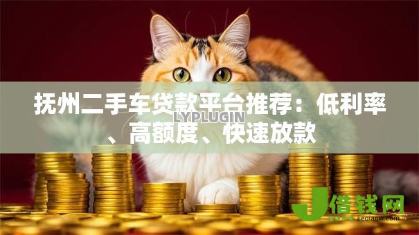 抚州二手车贷款平台推荐：低利率、高额度、快速放款