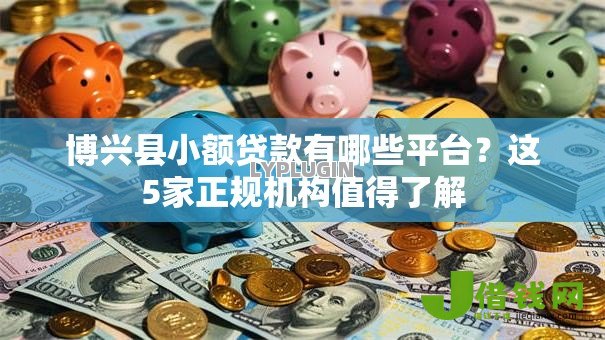 博兴县小额贷款有哪些平台?这5家正规机构值得了解 博兴县小额贷款有哪些平台?这5家正规机构值得了解
