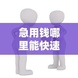 急用钱哪里能快速借到款？合法借贷渠道盘点