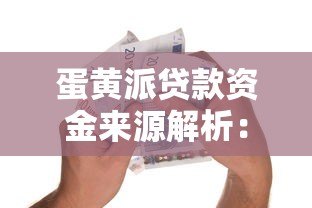 蛋黄派贷款资金来源解析:平台资金还是第三方合作? 蛋黄派贷款资金来源解析:平台资金还是第三方合作?
