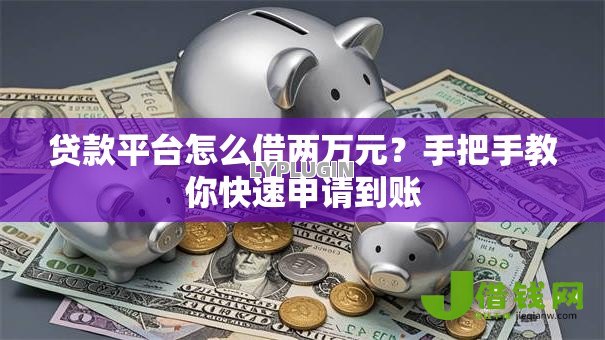 贷款平台怎么借两万元？手把手教你快速申请到账