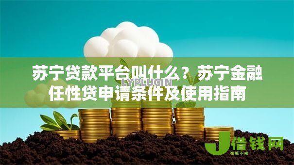 苏宁贷款平台叫什么?苏宁金融任性贷申请条件及使用指南 苏宁贷款平台叫什么?苏宁金融任性贷申请条件及使用指南