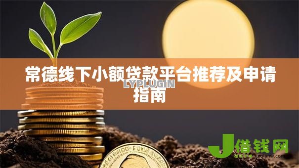 常德线下小额贷款平台推荐及申请指南 常德线下小额贷款平台推荐及申请指南