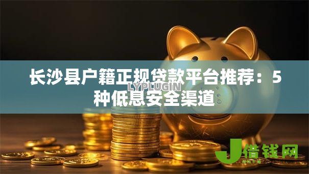 长沙县户籍正规贷款平台推荐：5种低息安全渠道